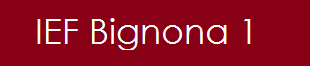 IEF Bignona