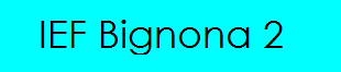 IEF Bignona 2