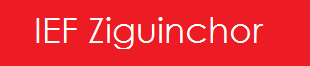 IEF Ziguinchor