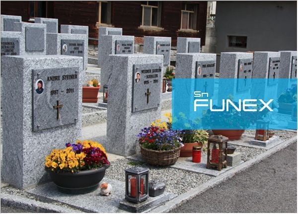 Sunusoft funex